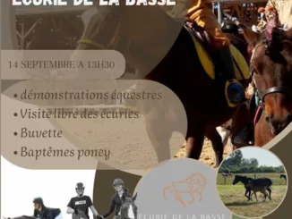 Affiche des portes ouvertes de l'Écurie de la Basse à Sivry-Ante le 14 septembre : baptêmes poney et démonstrations.