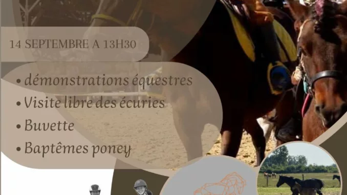 EVEN-14-09-2025-Portes ouvertes écuries Affiche des portes ouvertes de l'Écurie de la Basse à Sivry-Ante le 14 septembre : baptêmes poney et démonstrations.