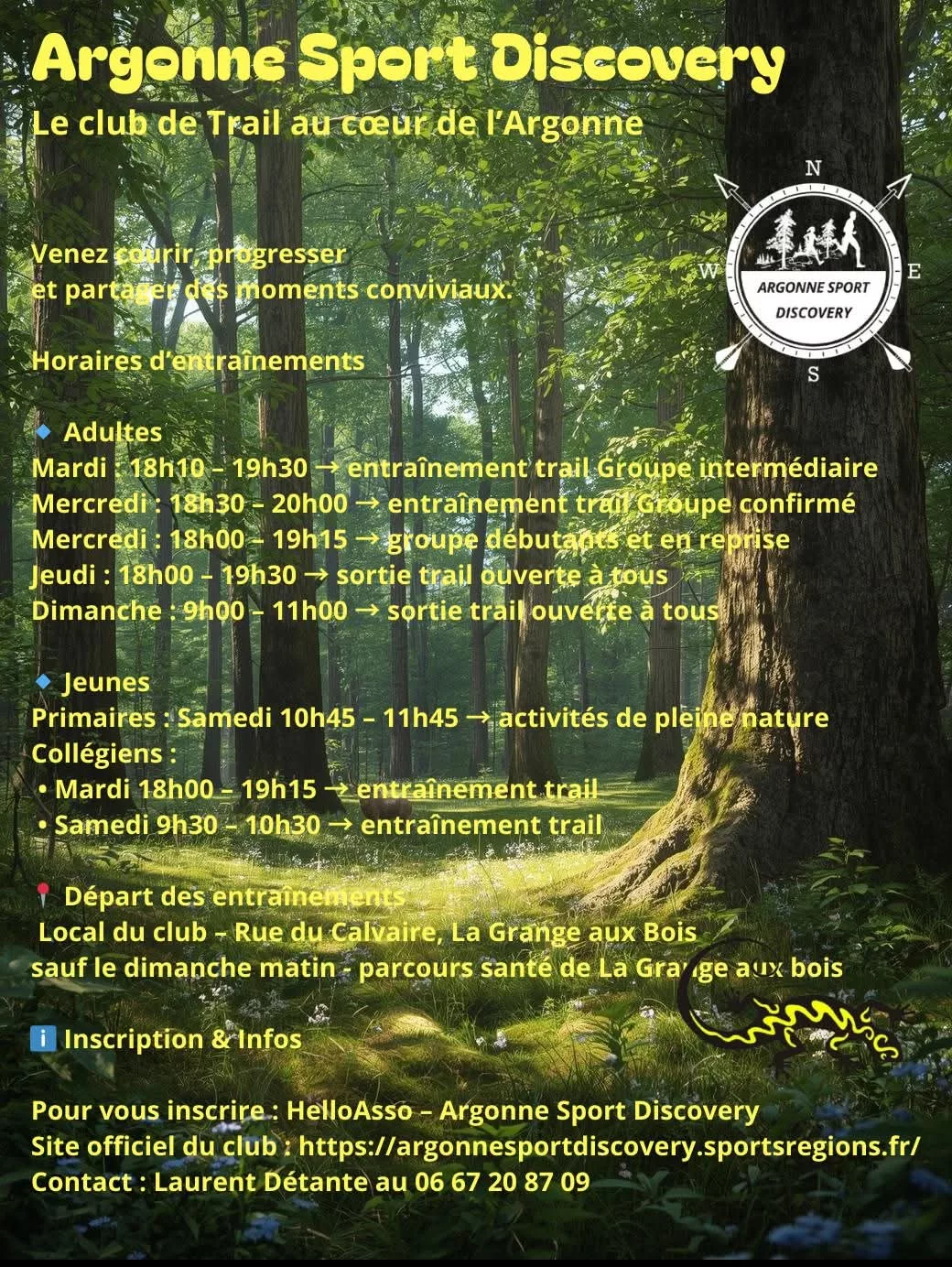 Affiche du club de trail Argonne Sport Discovery présentant les horaires d'entraînements 2025 pour adultes et jeunes en forêt d'Argonne.